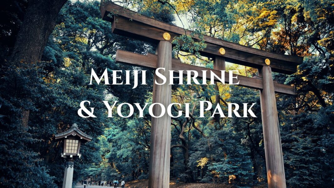 Large wooden Torii gate at Meiji Jingu Shrine, Tokyo - Sacred Shinto shrine dedicated to Emperor Meiji and Empress Shoken